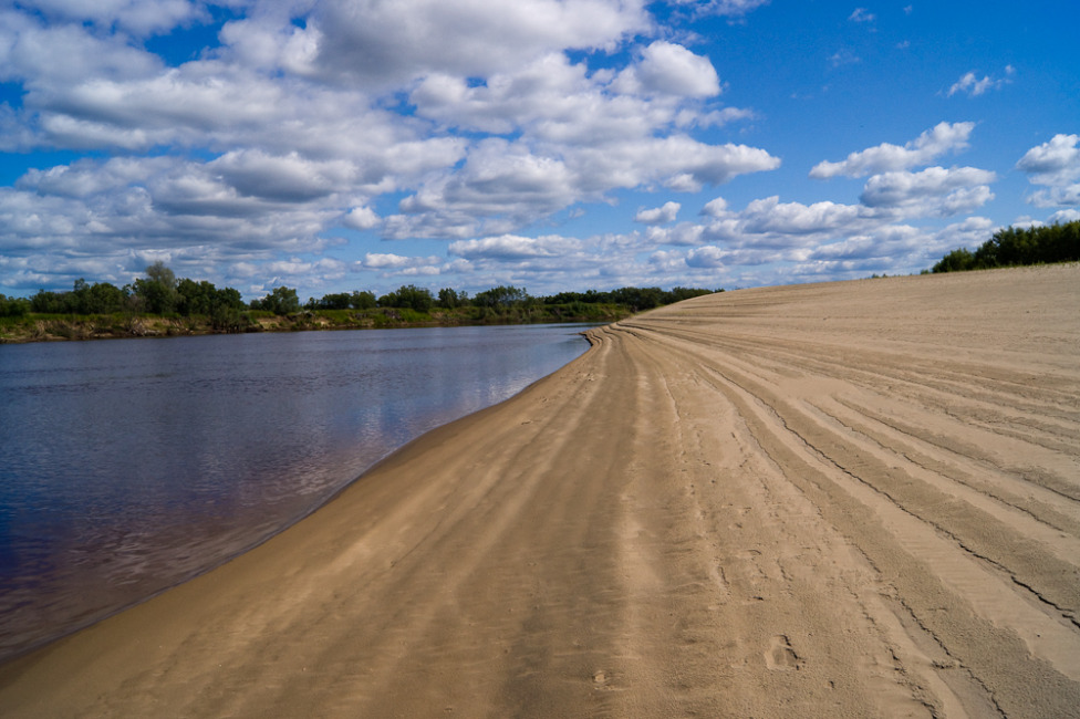 © Alexander Zholobov - The sandy river bank Ket in the north of Western Siberia