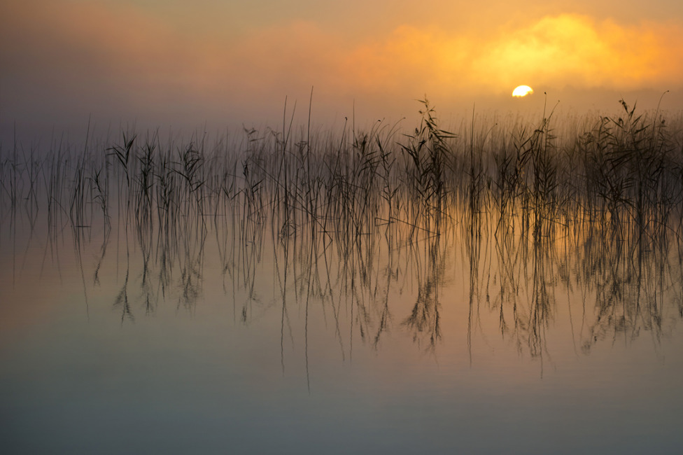 © Rimantas Bikulčius - September Ьorning