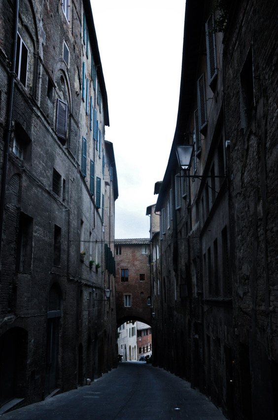 © Maria Zak - After tourists it's so quiet in Sienna...