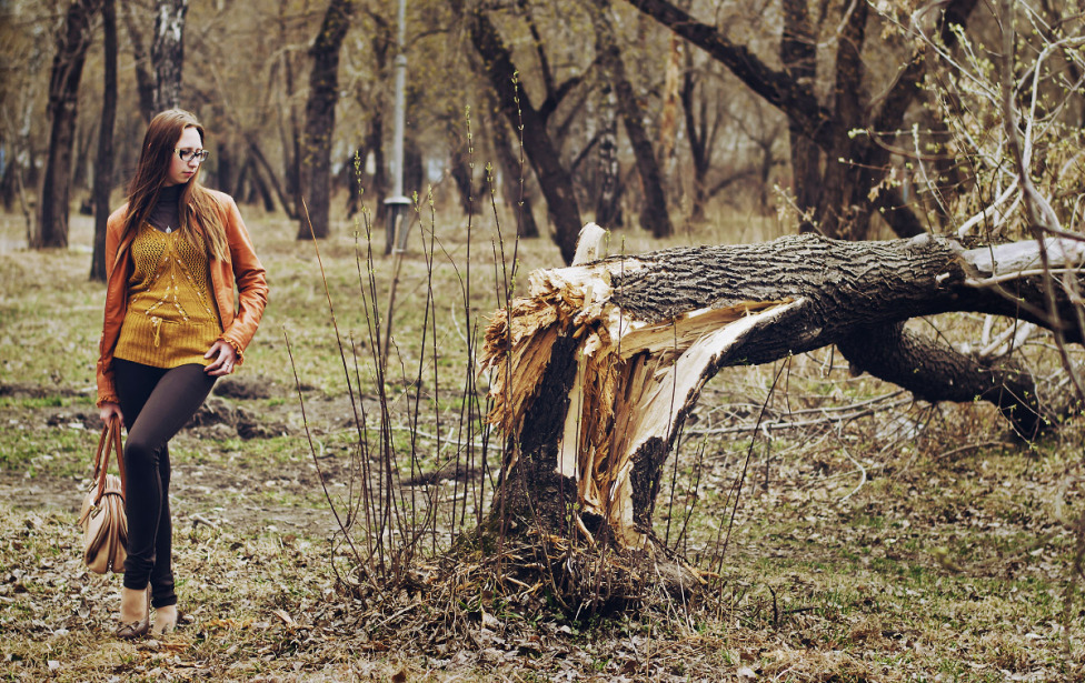 © Nikita Nikitenko - Serious nature...