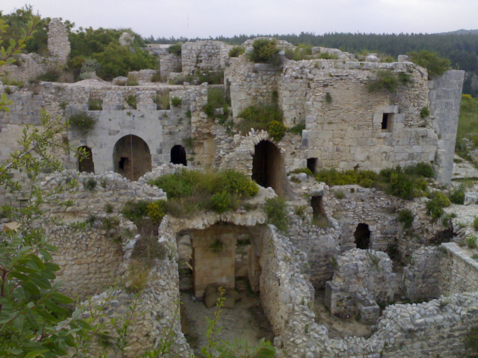 © mohmmed audi - Citadel of Saladin