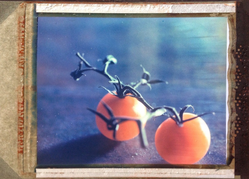 © Jean-Francois Dupuis - Tomatoes