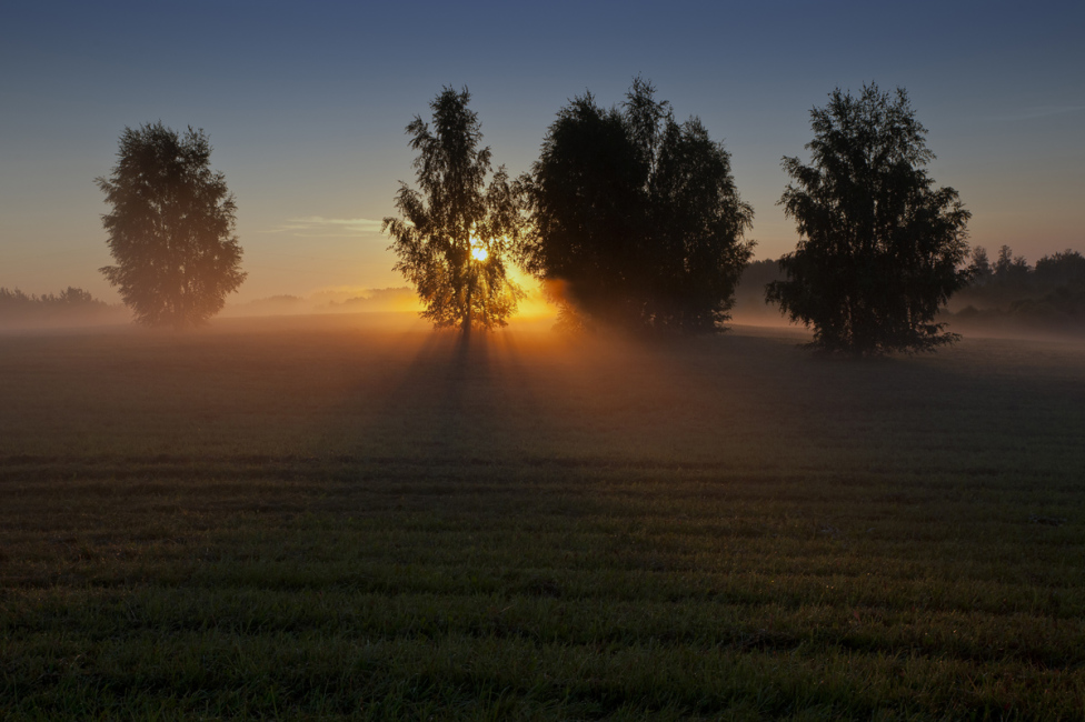 © Rimantas Bikulčius - Медленно просыпаться