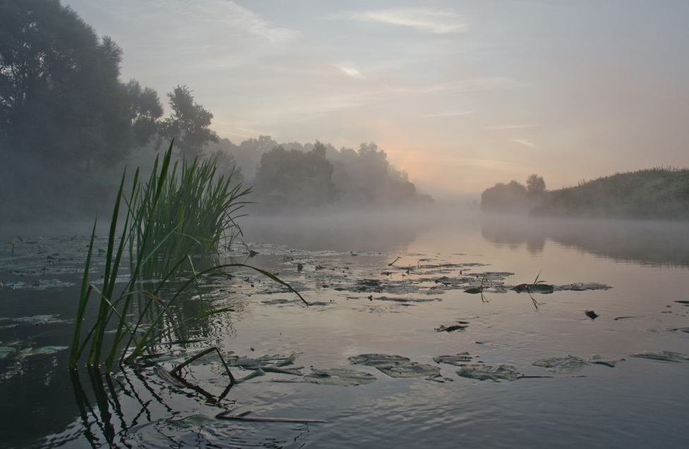 © Михаил Агеев - Упа в июле