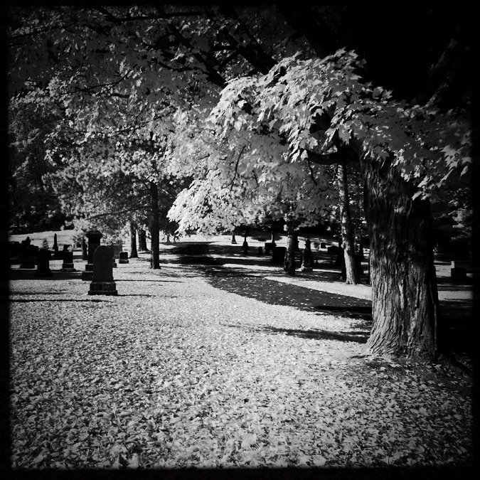 © Jean-Francois Dupuis - Cemetery