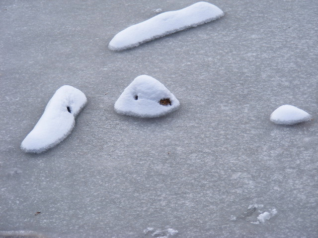 © flemming rasmussen - Winter art