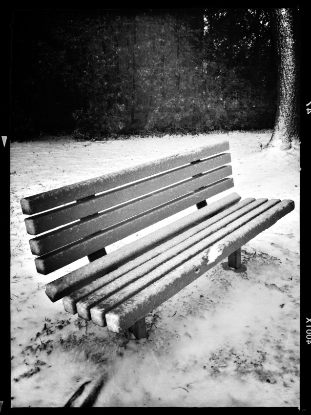 © Jean-Francois Dupuis - Bench