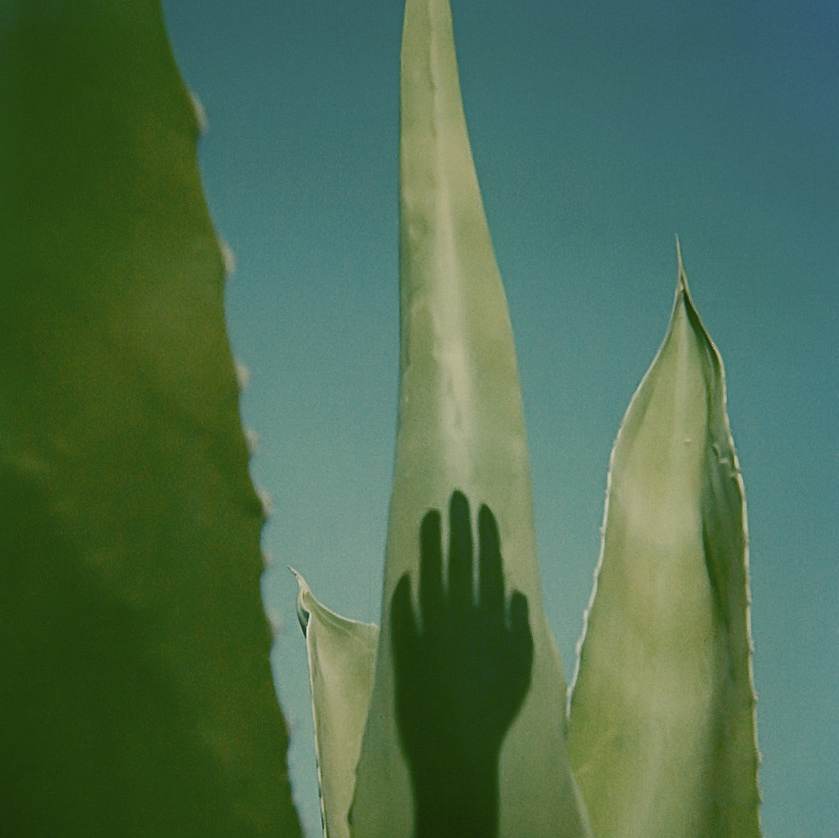 © De Luca Augusto - ( Polaroid sx-70 ) @ by Augusto De Luca. 2