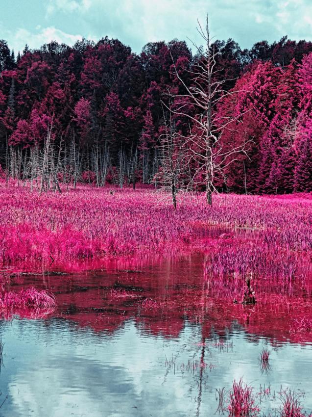 © Jean-Francois Dupuis - Infrared photography by Jean-François Dupuis